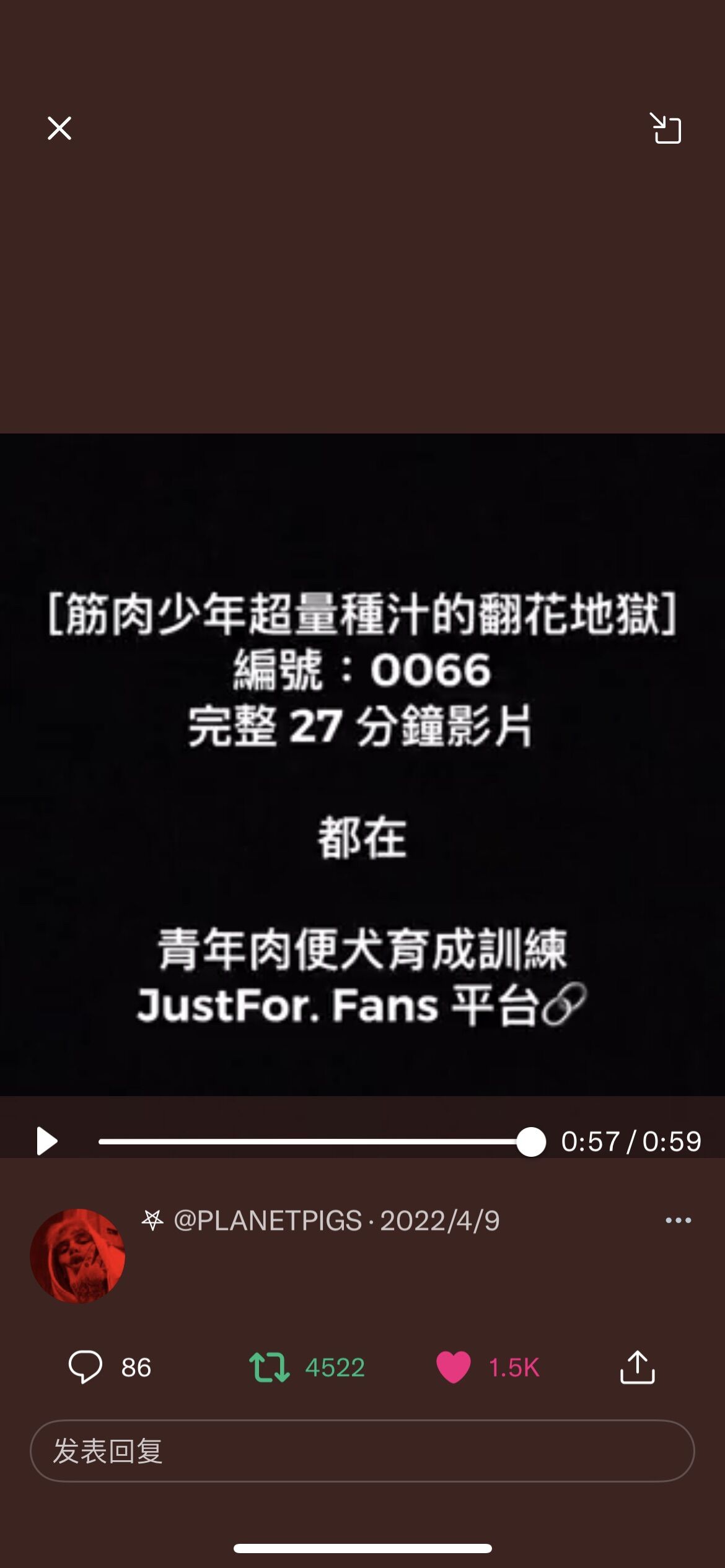 肉便犬育成訓練