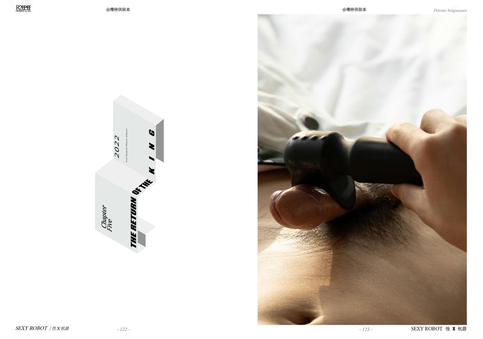 HORMONE Issue #12-2 (71).jpg