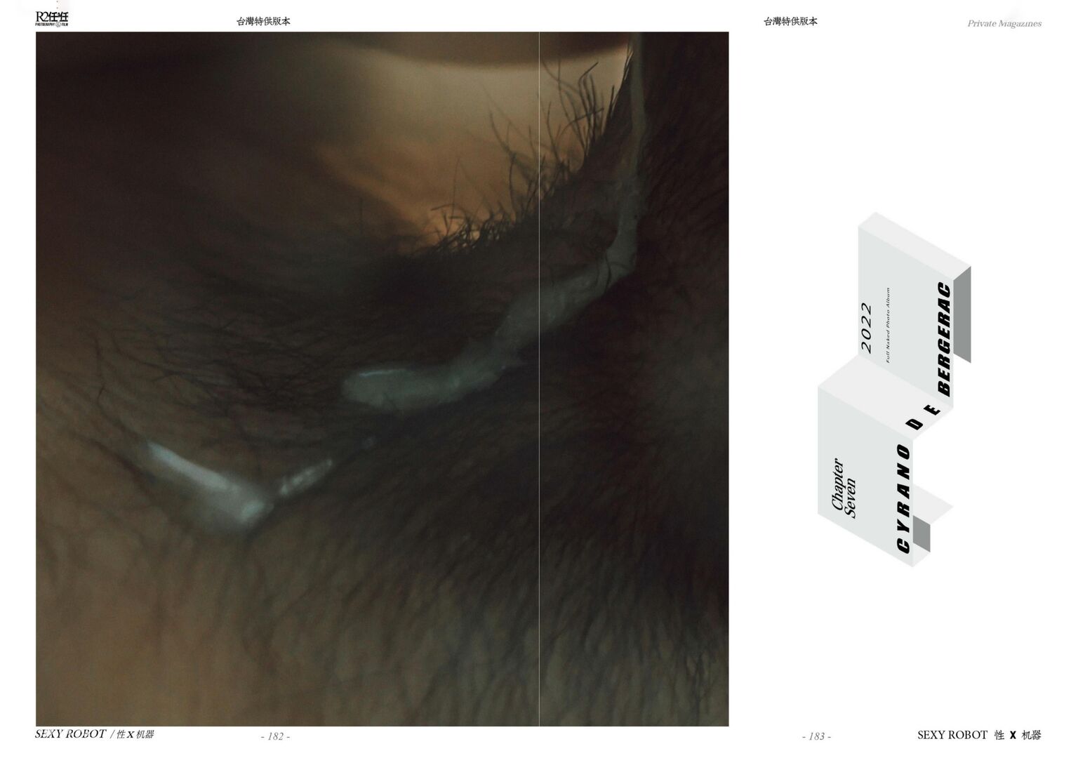 HORMONE Issue #12-2 (106).jpg